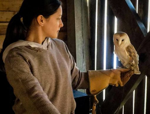 Stop for a hearty lunch or dinner at Monks Ballyvaughan Seafood Restaurant & Bar after visiting the Birds of Prey and Aillwee Caves.